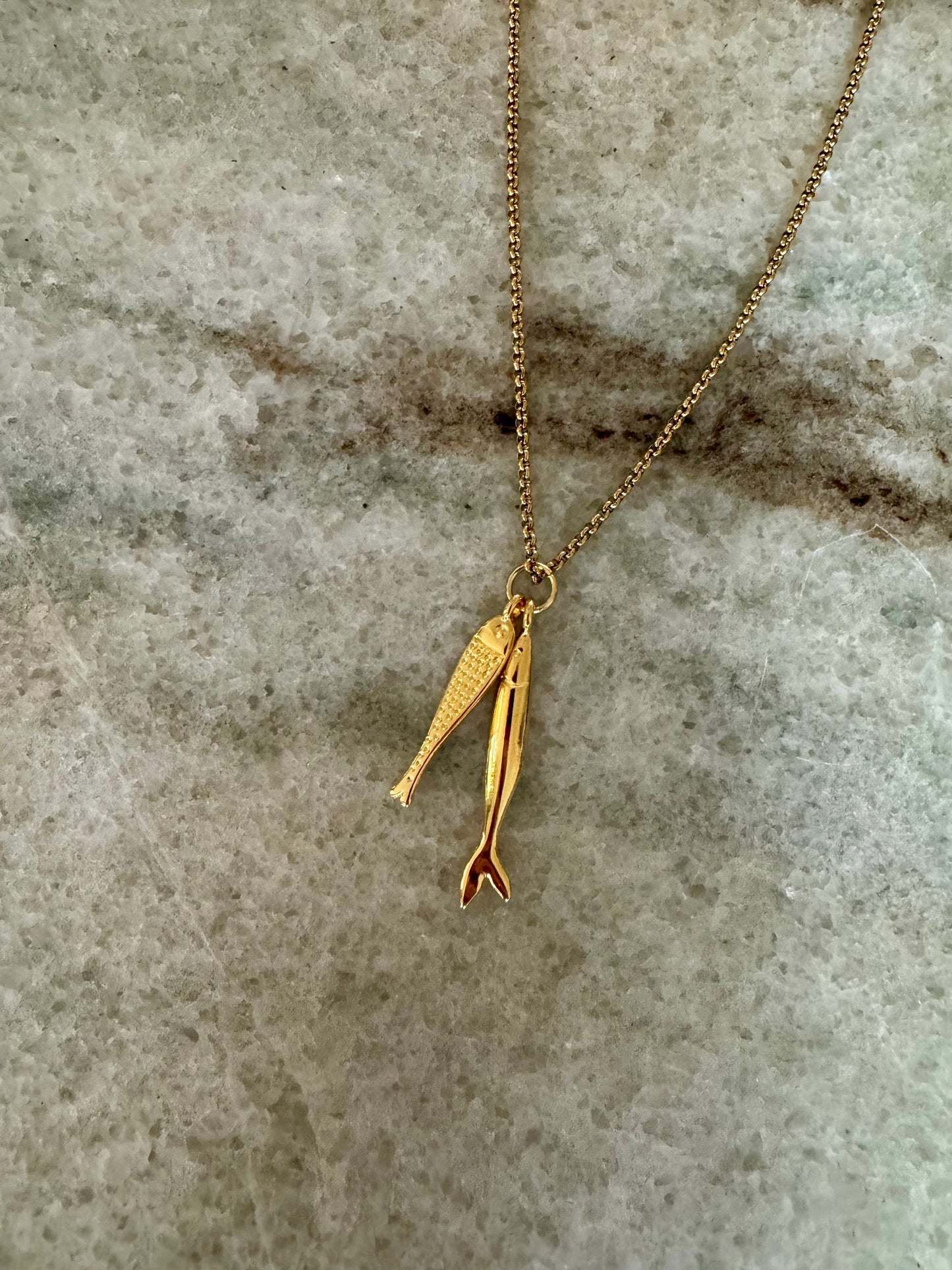 Ketting vissen