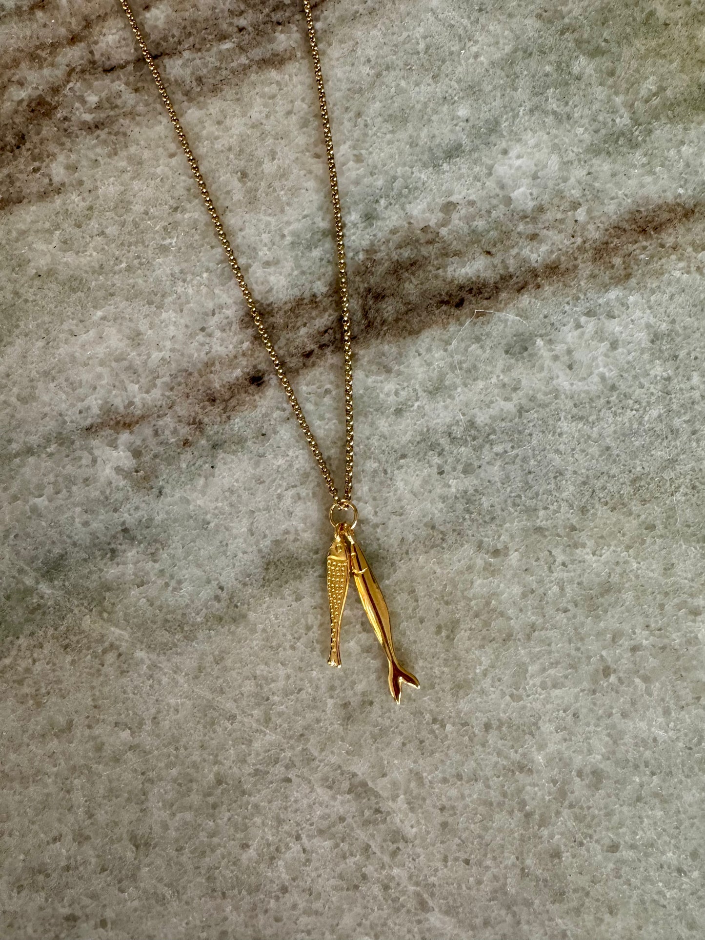 Ketting vissen