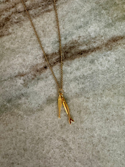Ketting vissen